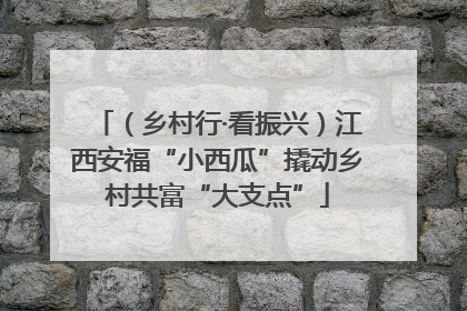 （乡村行·看振兴）江西安福“小西瓜”撬动乡村共富“大支点”