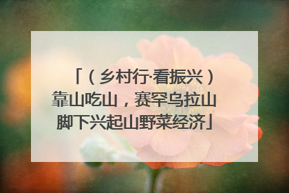 （乡村行·看振兴）靠山吃山，赛罕乌拉山脚下兴起山野菜经济