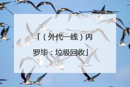 （外代一线）内罗毕：垃圾回收