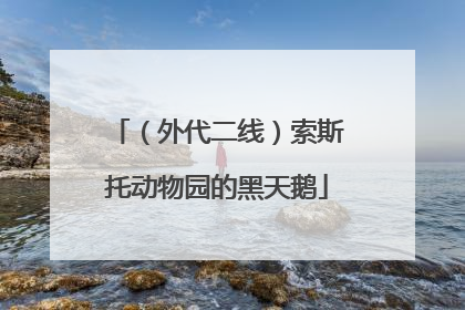 （外代二线）索斯托动物园的黑天鹅