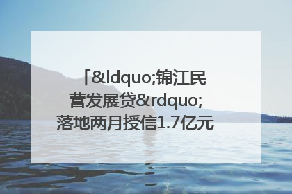 “锦江民营发展贷”落地两月授信1.7亿元，惠及118家民企