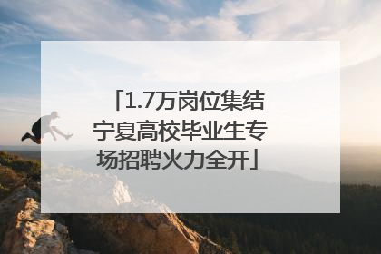 1.7万岗位集结 宁夏高校毕业生专场招聘火力全开