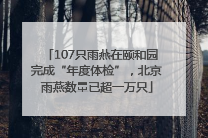 107只雨燕在颐和园完成“年度体检”，北京雨燕数量已超一万只
