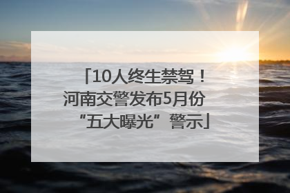 10人终生禁驾！河南交警发布5月份“五大曝光”警示