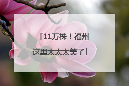 11万株！福州这里太太太美了