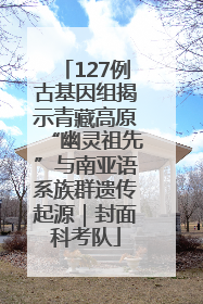 127例古基因组揭示青藏高原“幽灵祖先”与南亚语系族群遗传起源｜封面科考队
