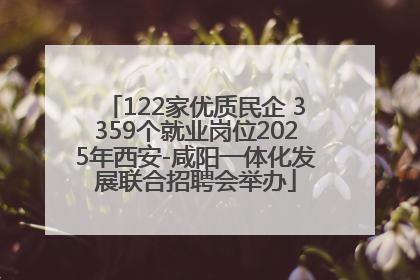 122家优质民企 3359个就业岗位2025年西安-咸阳一体化发展联合招聘会举办