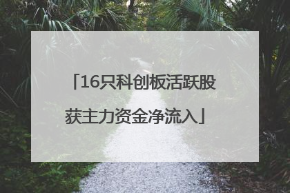 16只科创板活跃股获主力资金净流入