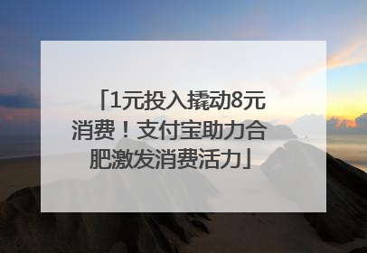 1元投入撬动8元消费！支付宝助力合肥激发消费活力