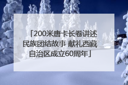 200米唐卡长卷讲述民族团结故事 献礼西藏自治区成立60周年