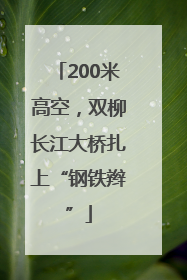 200米高空，双柳长江大桥扎上“钢铁辫”