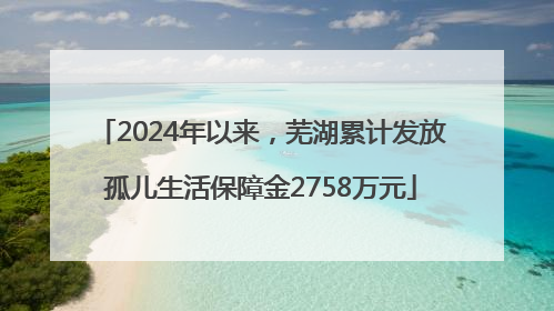 2024年以来，芜湖累计发放孤儿生活保障金2758万元