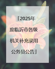 2025年度临沂市各级机关补充录用公务员公告