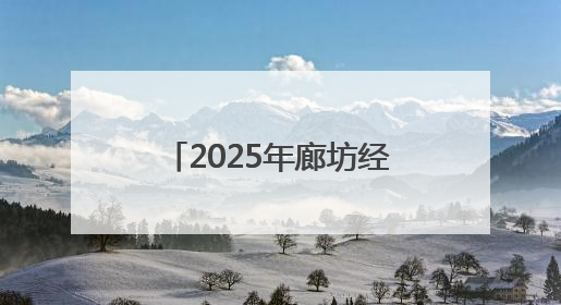 2025年廊坊经洽会：小箱包“圈粉”大咖 县域特色产业快速出海