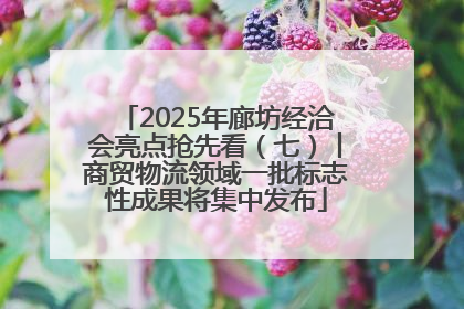 2025年廊坊经洽会亮点抢先看（七）丨商贸物流领域一批标志性成果将集中发布