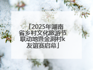 2025年湖南省乡村文化旅游节联动地暨金洞村k友谊赛启幕