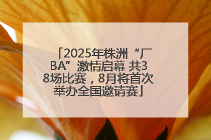 2025年株洲“厂BA”激情启幕 共38场比赛，8月将首次举办全国邀请赛