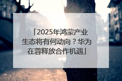 2025年鸿蒙产业生态将有何动向？华为在蓉释放合作机遇