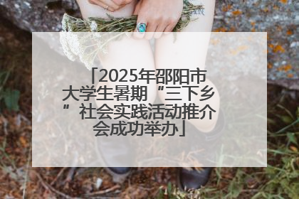 2025年邵阳市大学生暑期“三下乡”社会实践活动推介会成功举办
