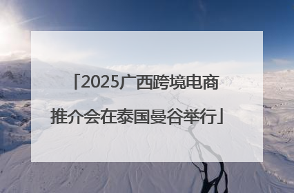 2025广西跨境电商推介会在泰国曼谷举行