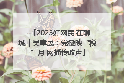 2025好网民·在聊城｜吴聿晟：党徽映“税”月 网播传政声