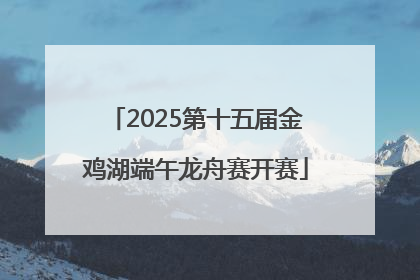 2025第十五届金鸡湖端午龙舟赛开赛