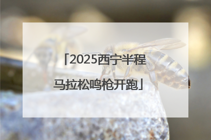 2025西宁半程马拉松鸣枪开跑