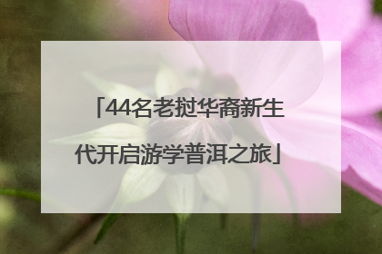 44名老挝华裔新生代开启游学普洱之旅
