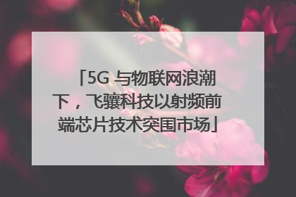 5G 与物联网浪潮下，飞骧科技以射频前端芯片技术突围市场