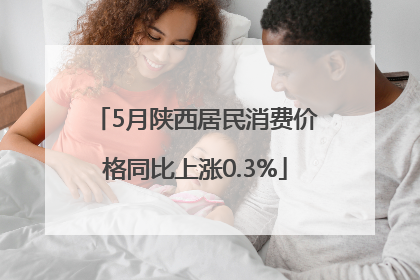 5月陕西居民消费价格同比上涨0.3%