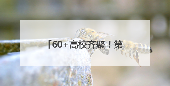 60+高校齐聚！第三届辽宁融媒高招会一站式护航考生升学路