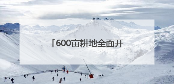 600亩耕地全面开种 成都东部新区东山农场示范园正式亮相