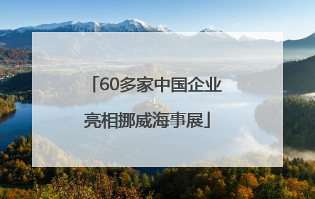 60多家中国企业亮相挪威海事展