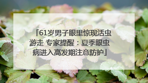 61岁男子眼里惊现活虫游走 专家提醒：夏季眼虫病进入高发期注意防护
