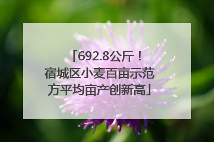 692.8公斤！宿城区小麦百亩示范方平均亩产创新高