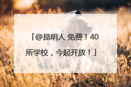 @昆明人 免费！40所学校，今起开放！