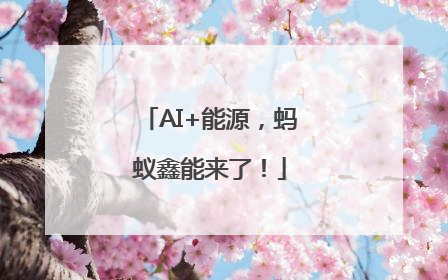 AI+能源，蚂蚁鑫能来了！