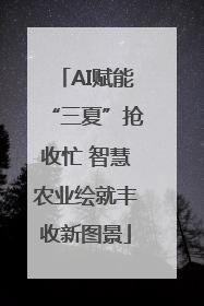 AI赋能“三夏”抢收忙 智慧农业绘就丰收新图景