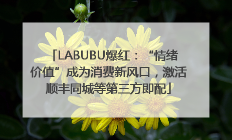 LABUBU爆红：“情绪价值”成为消费新风口，激活顺丰同城等第三方即配