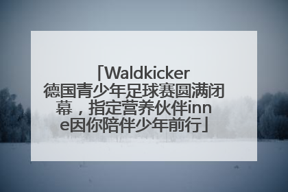 Waldkicker德国青少年足球赛圆满闭幕，指定营养伙伴inne因你陪伴少年前行